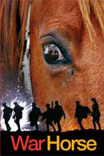 War Horse by Michael Morpurgo book cover