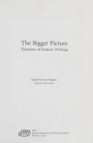 The Bigger Picture: 10 Ways to Improve Your Life and Times by Ivor Shapiro book cover