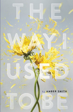 The Way I Used to Be by Amber Smith book cover