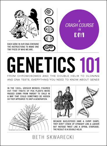 Genetics 101: Who We Are, How We Got Here, and What Makes Us Unique by Beth Skwarecki book cover