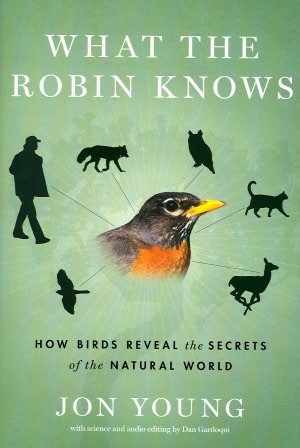 What the Robin Knows: How Birds Reveal the Secrets of the Natural World by Jon Young book cover