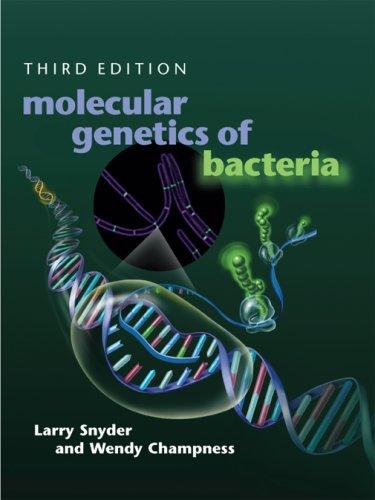 Molecular Genetics of Bacteria by Larry Snyder and Joe Peters book cover