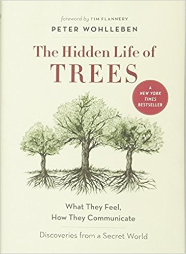 The Hidden Life of Trees by Peter Wohlleben book cover
