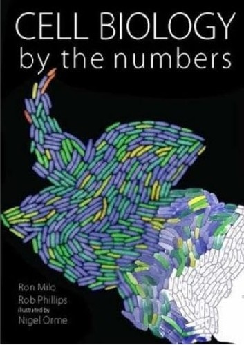 Cell Biology by the Numbers by Ron Milo, Rob Phillips book cover