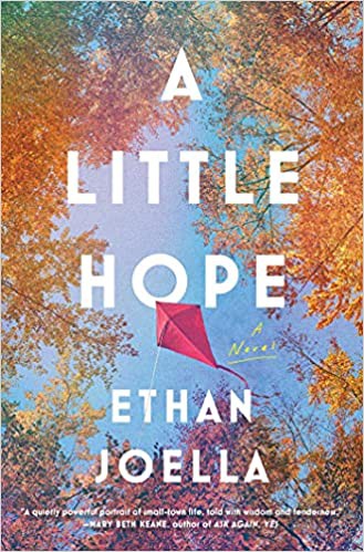 A Little Hope by Ethan Joella book cover