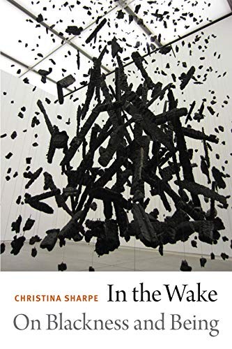In the Wake by Christina Elizabeth Sharpe book cover