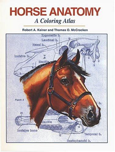 Horse Anatomy: A Coloring Atlas by Robert A. Kainer book cover