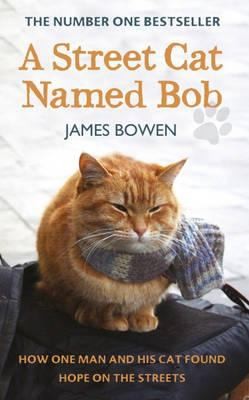 A Street Cat Named Bob by James Bowen book cover