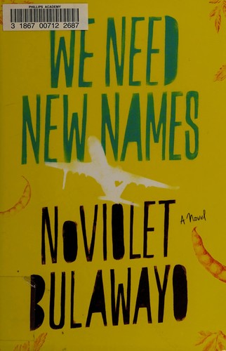 We Need New Names by NoViolet Bulawayo book cover
