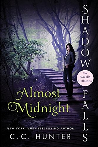 Almost Midnight: Two Festive Tales from the World of Shiver by C. C. Hunter book cover