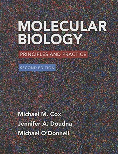 Molecular Biology: Principles and Practice by Michael M. Cox, Jennifer A. Doudna, and Michael O'Donnell book cover