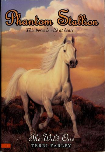 The Phantom Stallion: Wild Horse Island by Terri Farley book cover