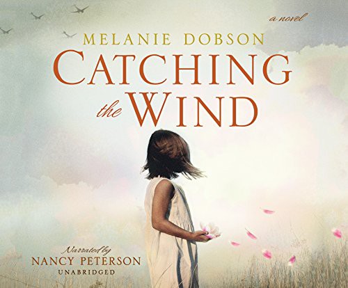 Catching the Wind: Thirteen Ways of Looking at the Novel by Melanie Dobson book cover