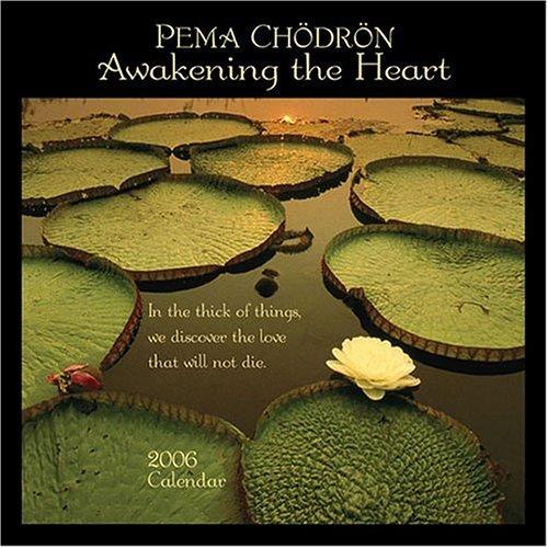 Pema Chödrön: The Wisdom of No Escape by Pema Chödrön book cover
