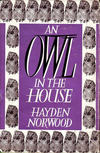 An Owl in the House by Hayden Norwood book cover