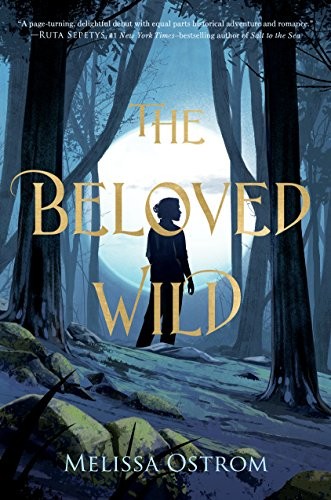 The Beloved Wild by Melissa Ostrom book cover