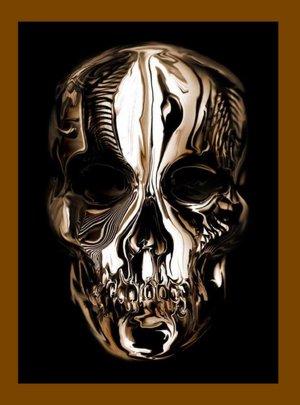 Alexander McQueen: Savage Beauty by Andrew Bolton book cover
