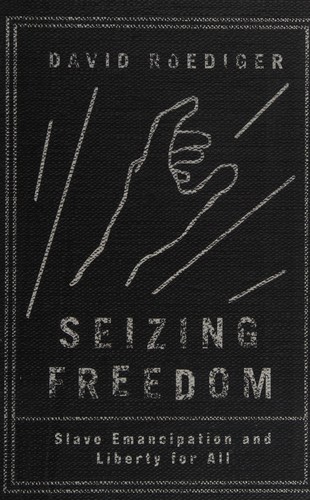 Seizing Freedom: The Forgotten Story of How to Fight Inequality by David R. Roediger book cover