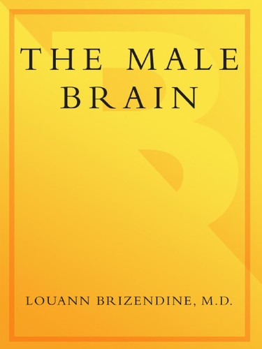 The Male Brain by Louann Brizendine book cover