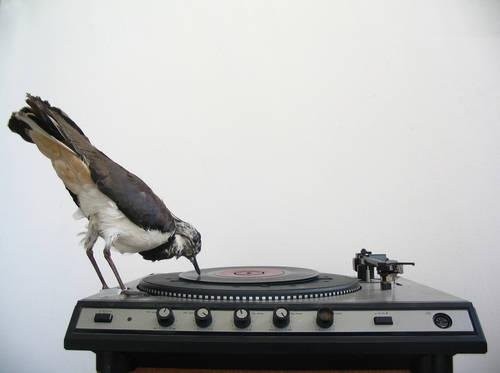 The Record: Contemporary Art and Vinyl by Trevor Schoonmaker book cover