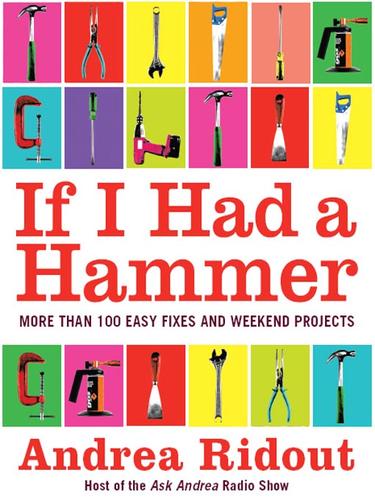 If I Had a Hammer: A Song for Pete Seeger by Andrea Ridout book cover