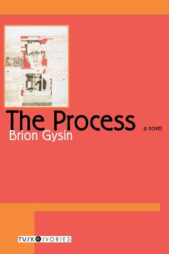 The Process by Brion Gysin book cover