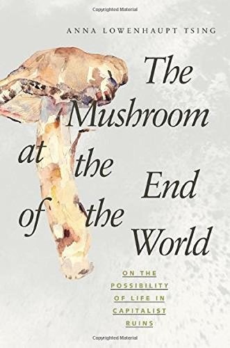 The Mushroom at the End of the World: On the Possibility of Life in Capitalist Ruins by Anna Lowenhaupt Tsing book cover