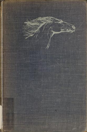 Silver Brumby by Elyne Mitchell book cover