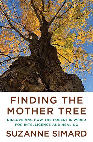 Finding the Mother Tree: Discovering the Wisdom of the Forest by Suzanne Simard book cover