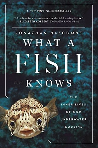 What a Fish Knows: The Inner Lives of Our Underwater Cousins by Jonathan Balcombe book cover