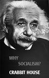 Why Socialism? by Albert Einstein book cover