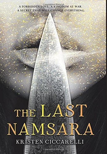 The Last Namsara by Kristen Ciccarelli book cover